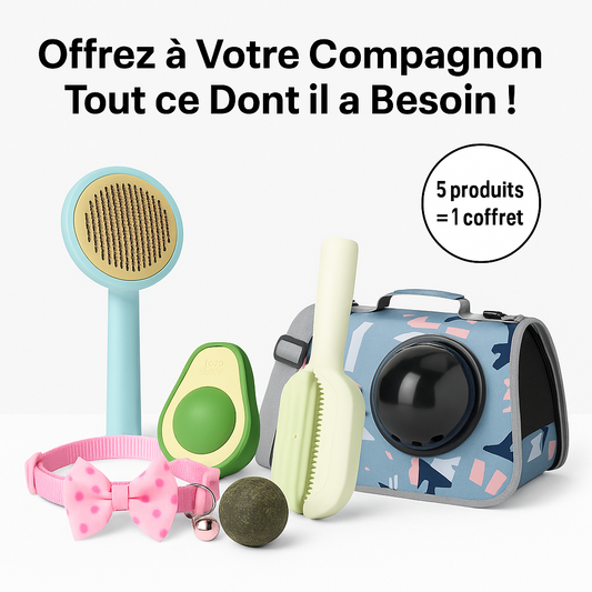 PetCare Box – Le Coffret Ultime